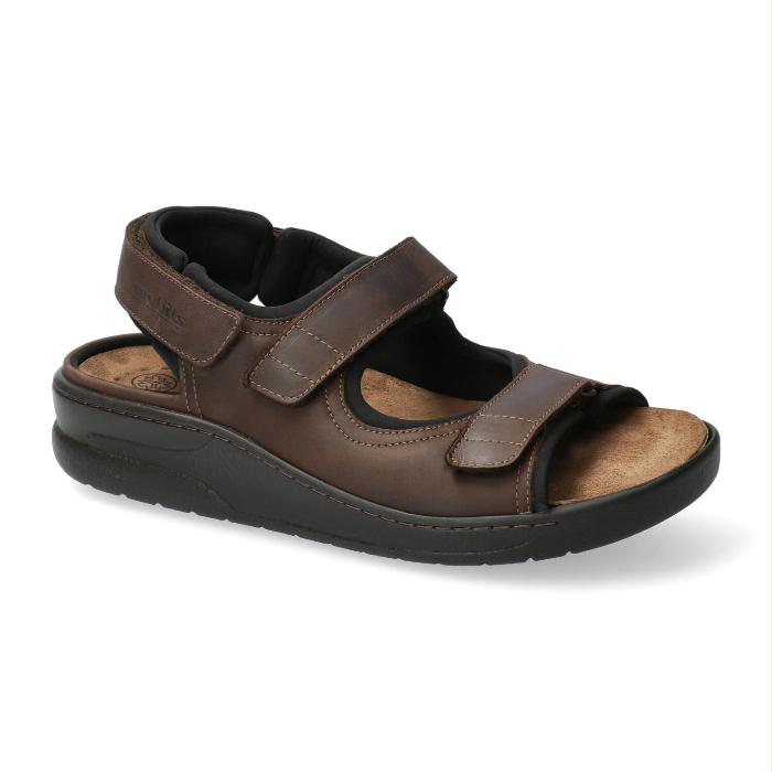 Mephisto Bruin Valden